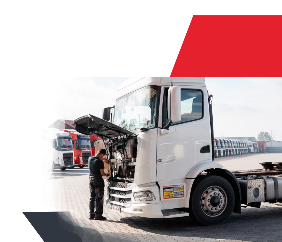 Flota Trans Logistic